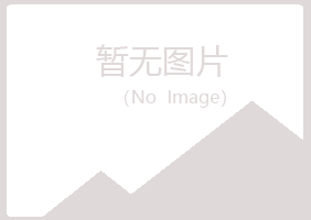 偃师冰萍能源有限公司